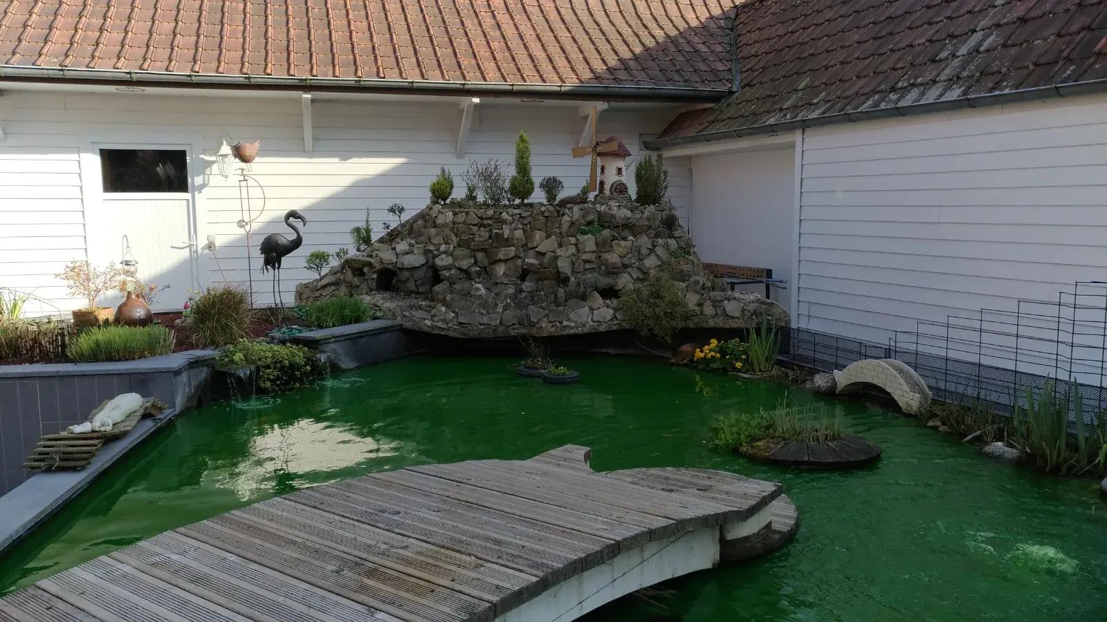 Création d'un bac à poissons+lagune